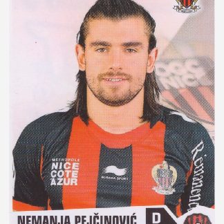 Panini Foot 2014 - Nemanja Pejcinovic / OGC Nice #299