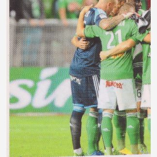 Panini Foot 2014 - Equipe 1 / AS Saint-étienne #390