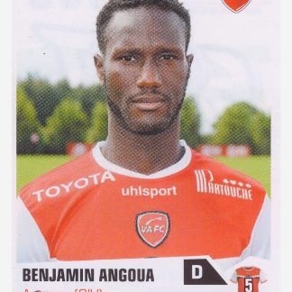 Panini Foot 2014 - Benjamin Angoua / Valenciennes FC #459