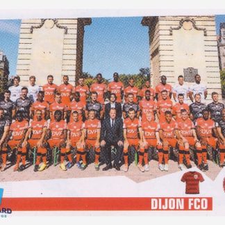 Panini Foot 2014 - Equipe / Dijon FCO #500