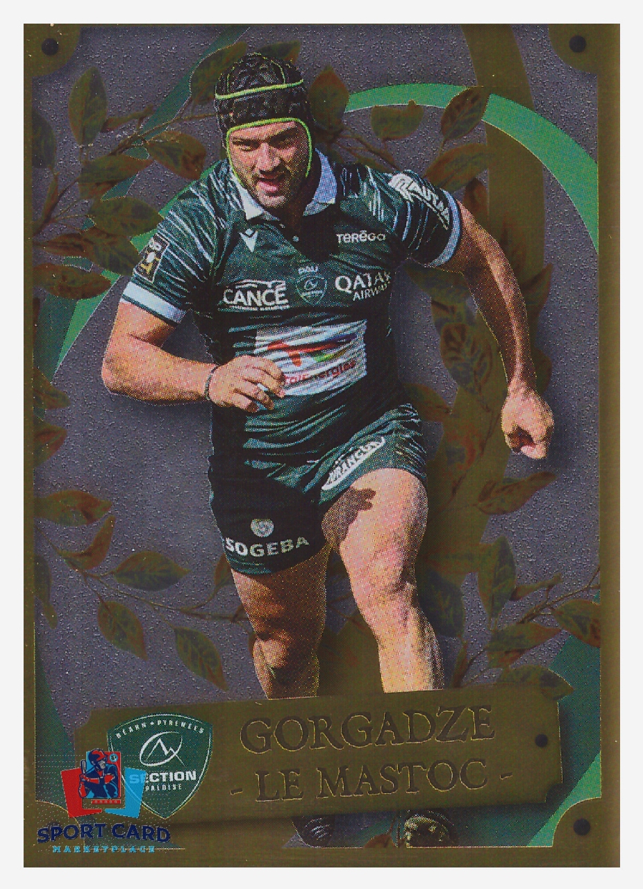 Panini Rugby Top 14 2025-2026 Beka Gorgadze (Le mastoc) / Pau N°184