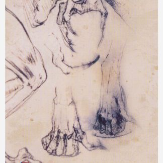 Panini Mercredi / Wednesday Collection 2 - Carte #69 (2025)