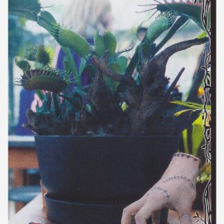 Panini Mercredi / Wednesday Collection 2 - Sticker #39 (2025)