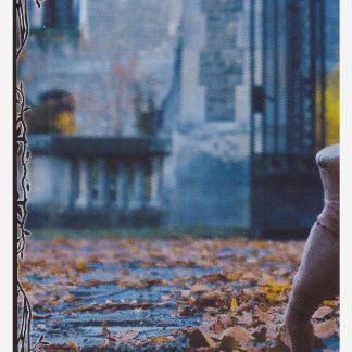 Panini Mercredi / Wednesday Collection 2 - Sticker #50 (2025)