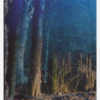 Panini Mercredi / Wednesday Collection 2 - Sticker #81 (2025)