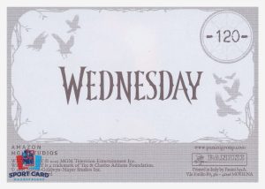 Panini Mercredi / Wednesday Collection 2 - Sticker #120 (2025)