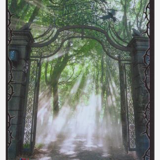 Panini Mercredi / Wednesday Collection 2 - Sticker #141 (2025)