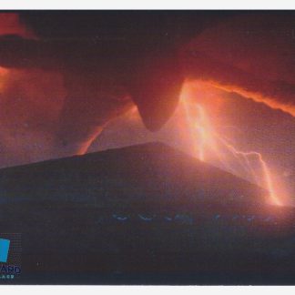 Panini Stranger Things Sticker 76 (2025)