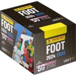 Panini Foot Ligue 1 2024-2025