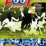 Panini Foot 2008